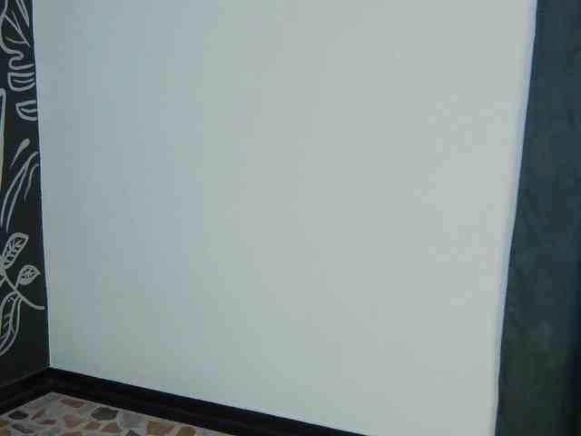 Arii-moon webcam