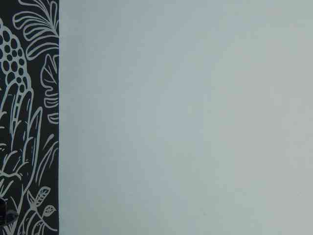 Arii-moon webcam