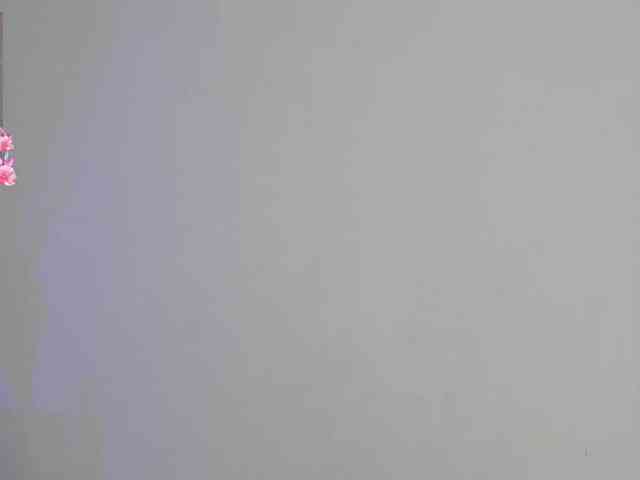Arii-moon webcam
