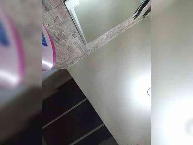 wutcirces webcam