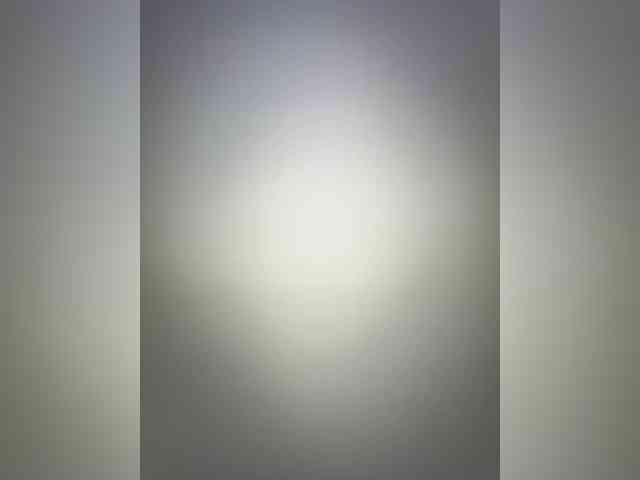 RedElf webcam