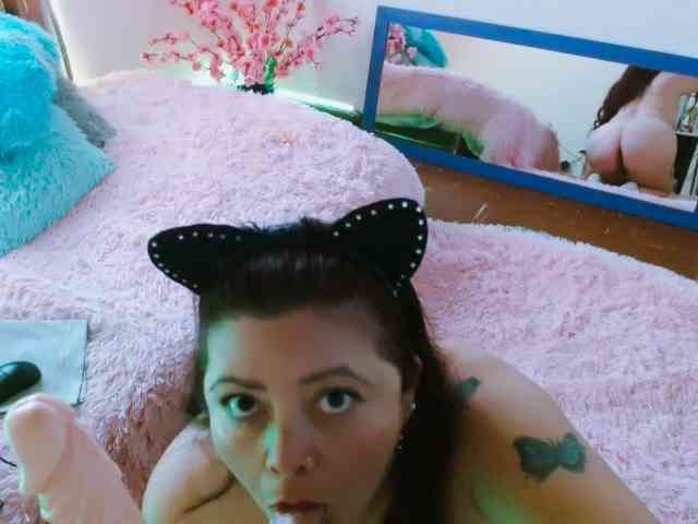 Carlared webcam