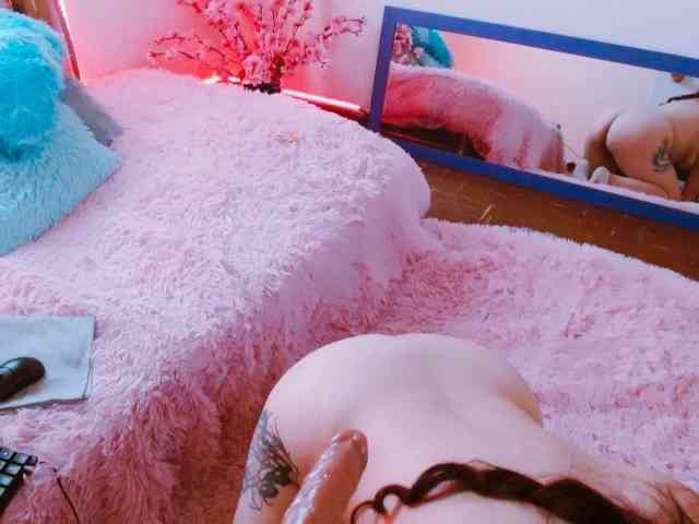 Carlared webcam