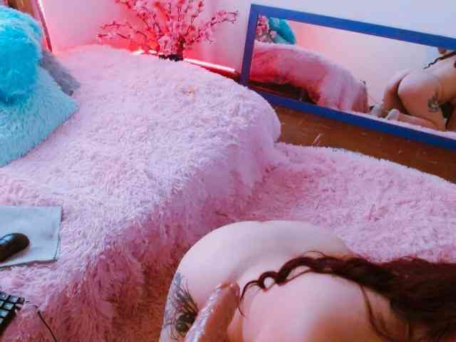 Carlared webcam