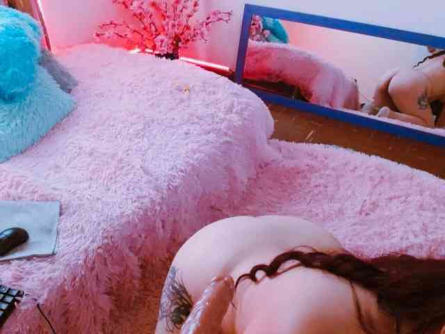 Carlared webcam