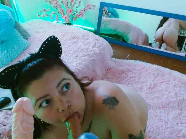 Carlared webcam