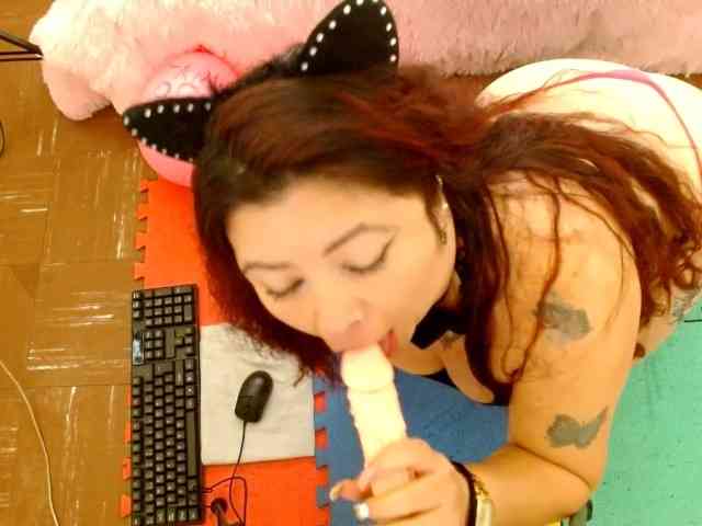 Carlared webcam
