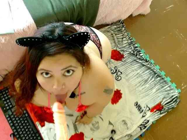 Carlared webcam