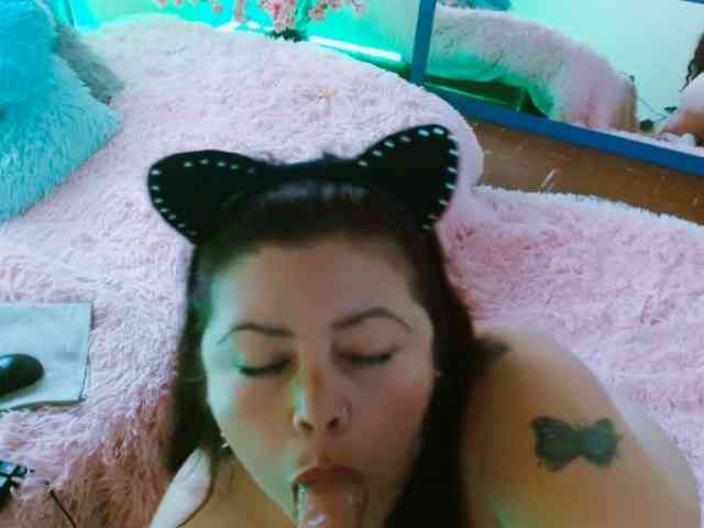 Carlared webcam