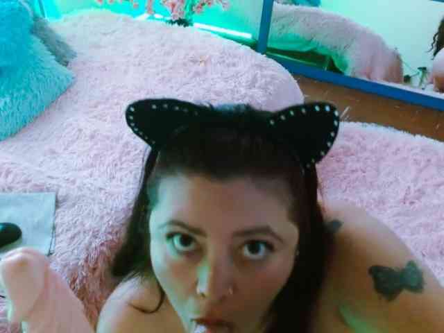 Carlared webcam