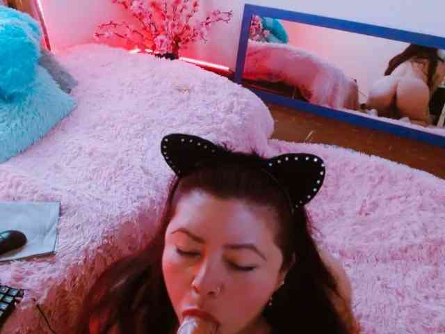 Carlared webcam