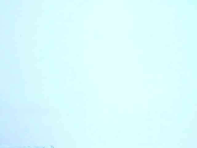 sofiaa-millerr webcam