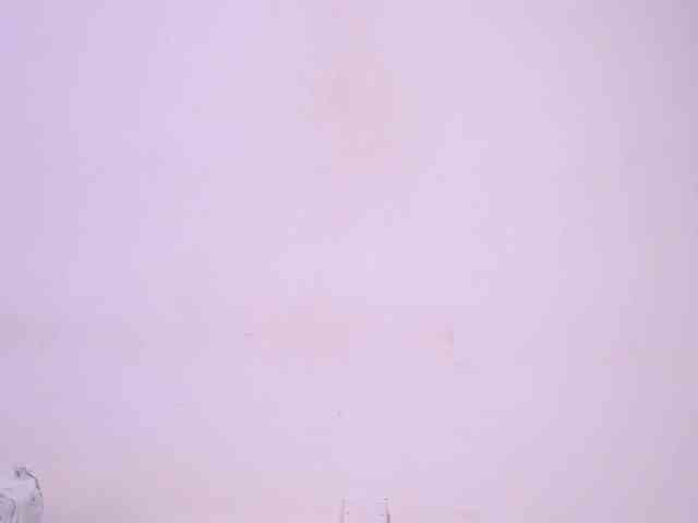 sofiaa-millerr webcam