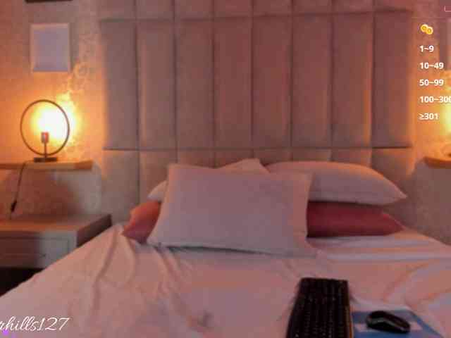 ambar-hiills webcam