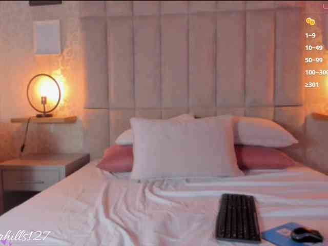 ambar-hiills webcam