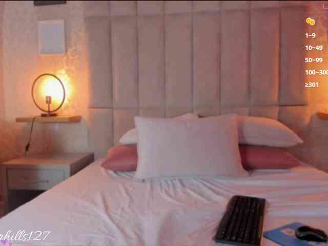 ambar-hiills webcam