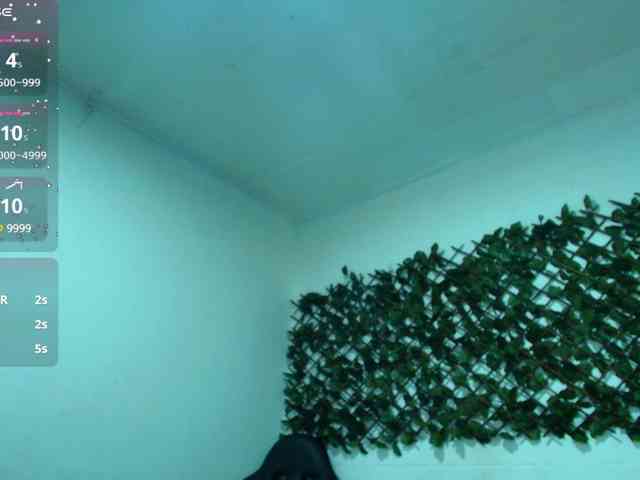 Ayliinn webcam