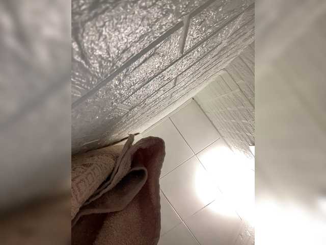 SABENY from BongaCams is Freechat