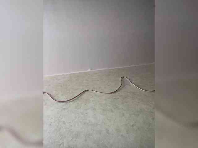 SABENY webcam