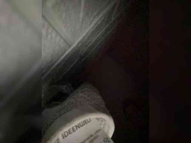 SABENY webcam