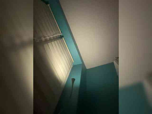 RokoandRika1 webcam