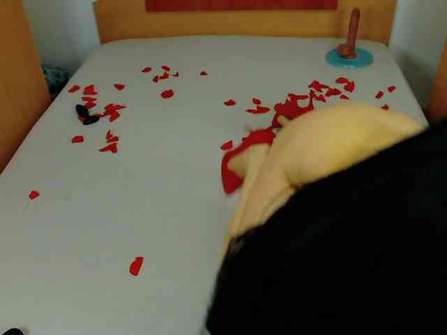 Within__Temptation webcam