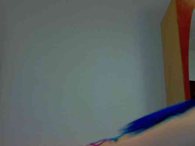 SophieRosenfeld webcam
