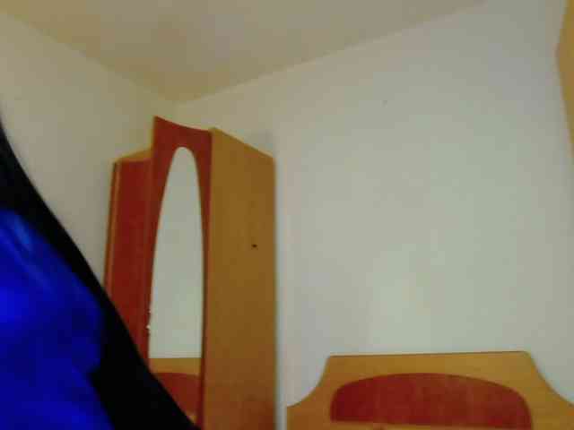 Within__Temptation webcam