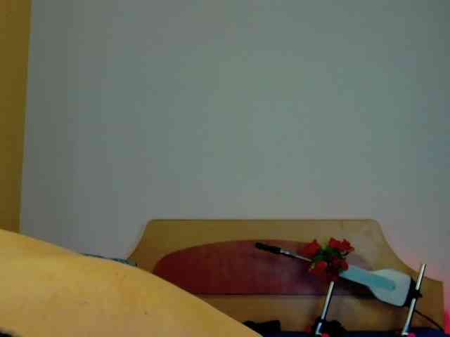 SophieRosenfeld webcam