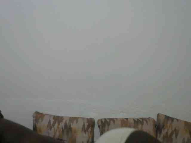 Ebonyrogan webcam