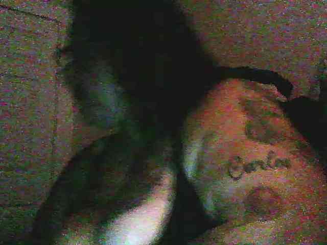 Bashbaby webcam