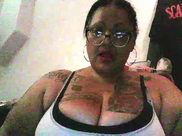 Bashbaby webcam
