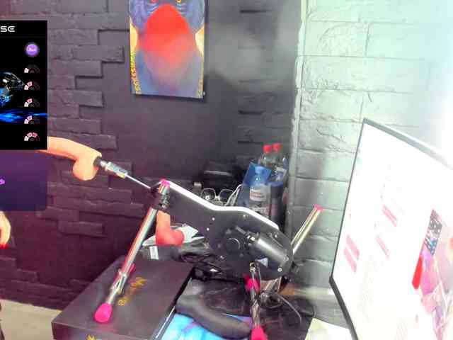 Laylala webcam