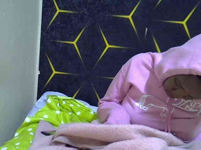 Candy27 webcam