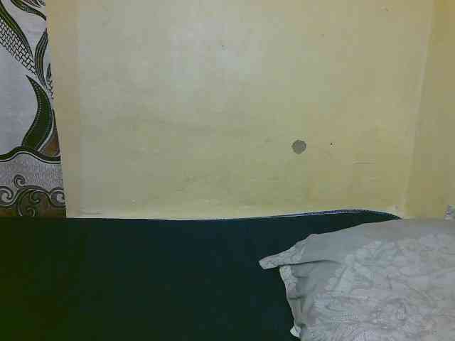 Queen-vally webcam