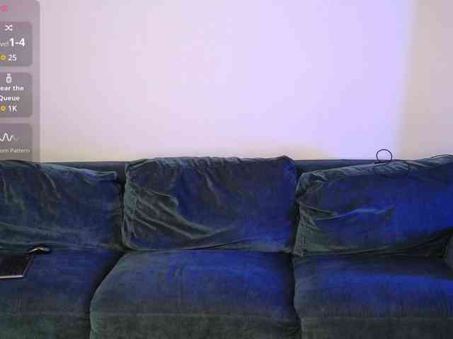 LaraSLR webcam