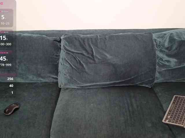 LaraSLR webcam