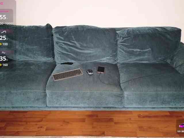LaraSLR webcam