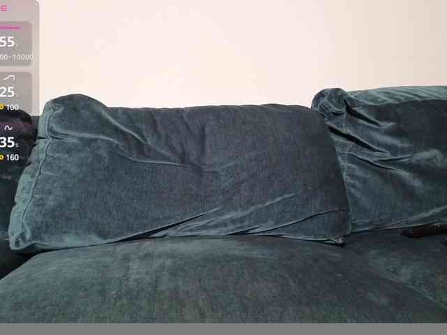 LaraSLR webcam