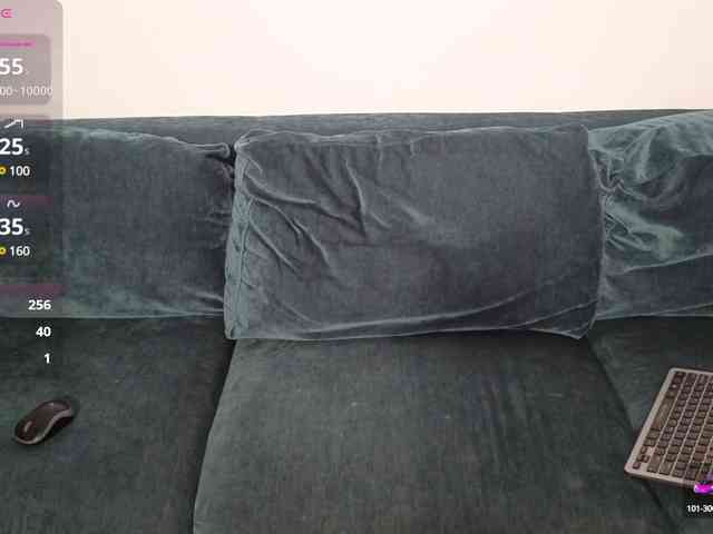 LaraSLR webcam