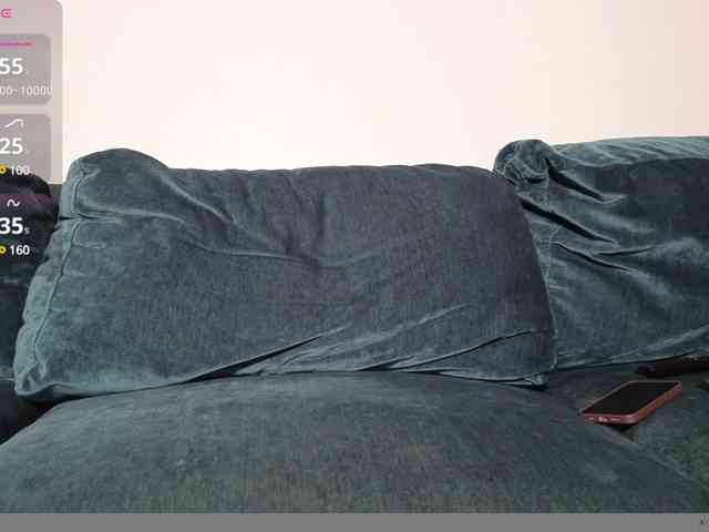 LaraSLR webcam