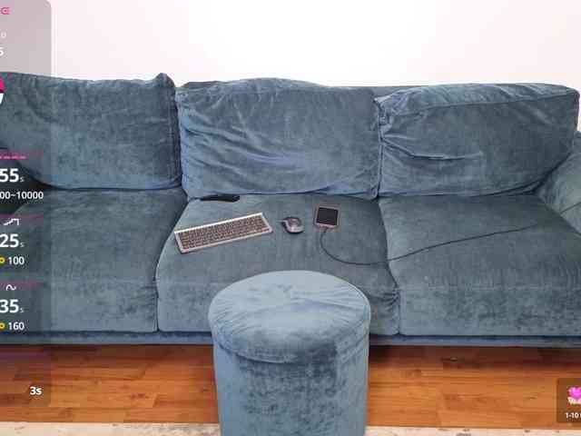 LaraSLR webcam