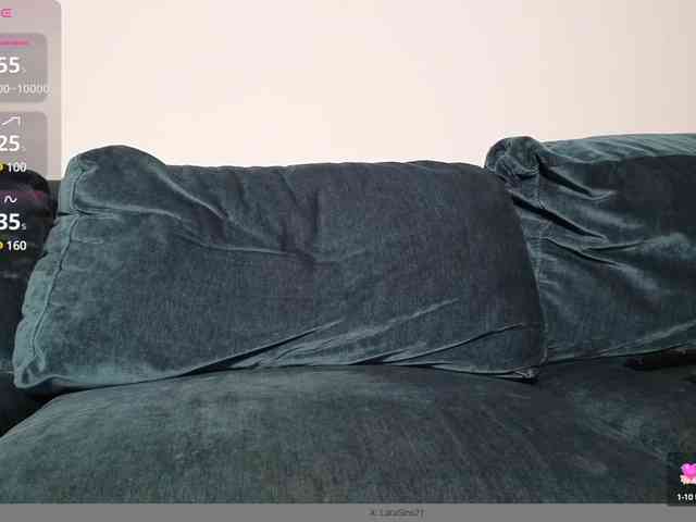 LaraSLR webcam