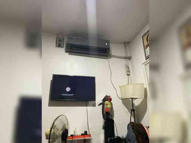 Sweetpussybelle webcam