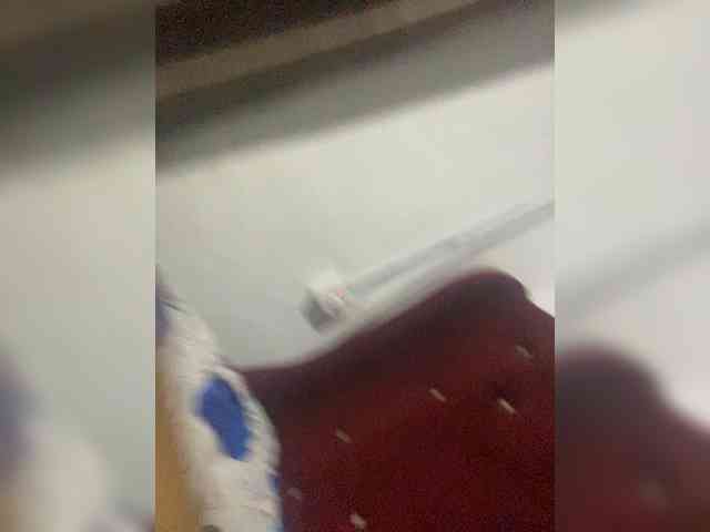 Sweetbellea Sweetbellea