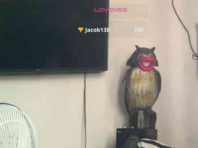 Missbellerina webcam