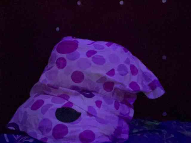 Missbellerina webcam