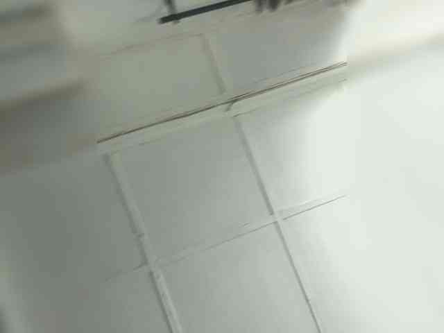 Sweetbellea Sweetbellea