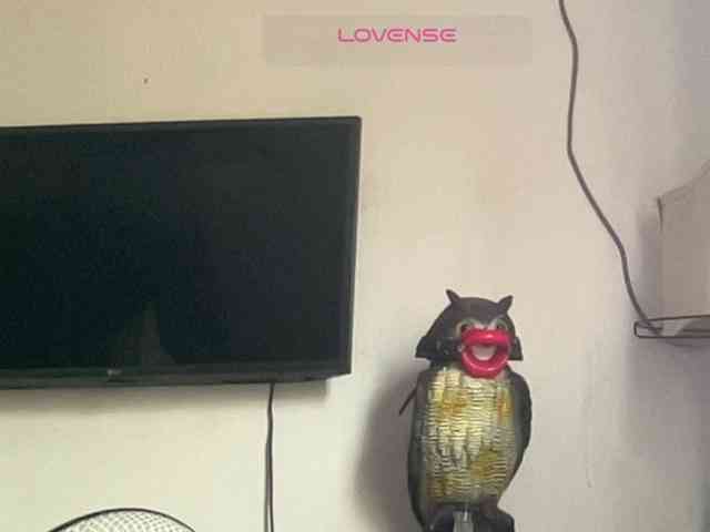 Missbellerina webcam