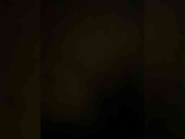 Sweetbellea Sweetbellea